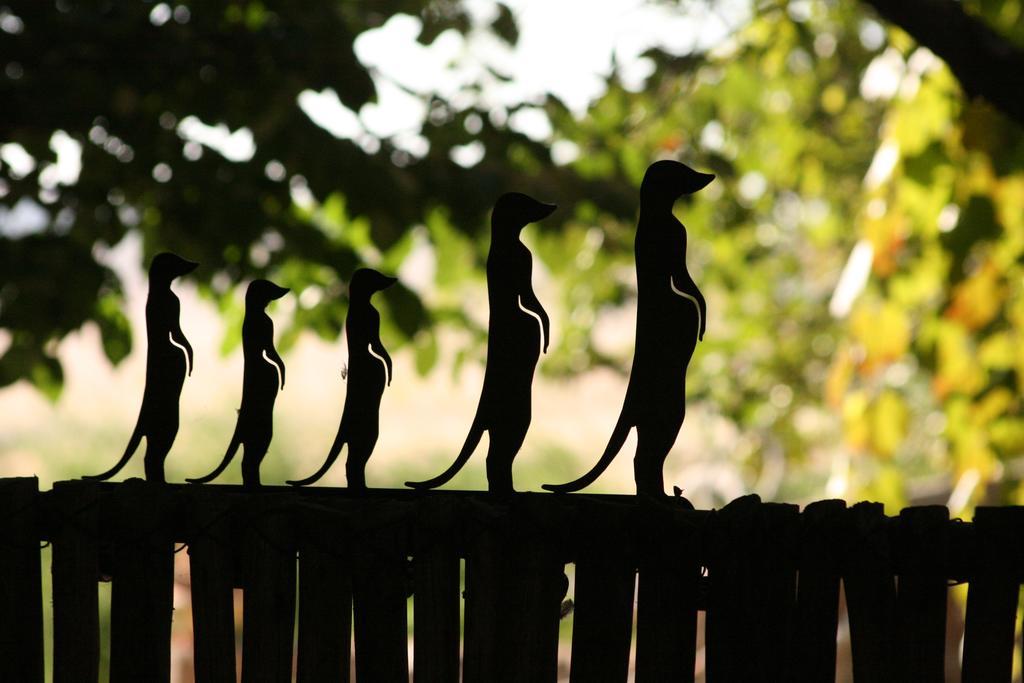 Morning Glory Cottages Venterstad Bagian luar foto